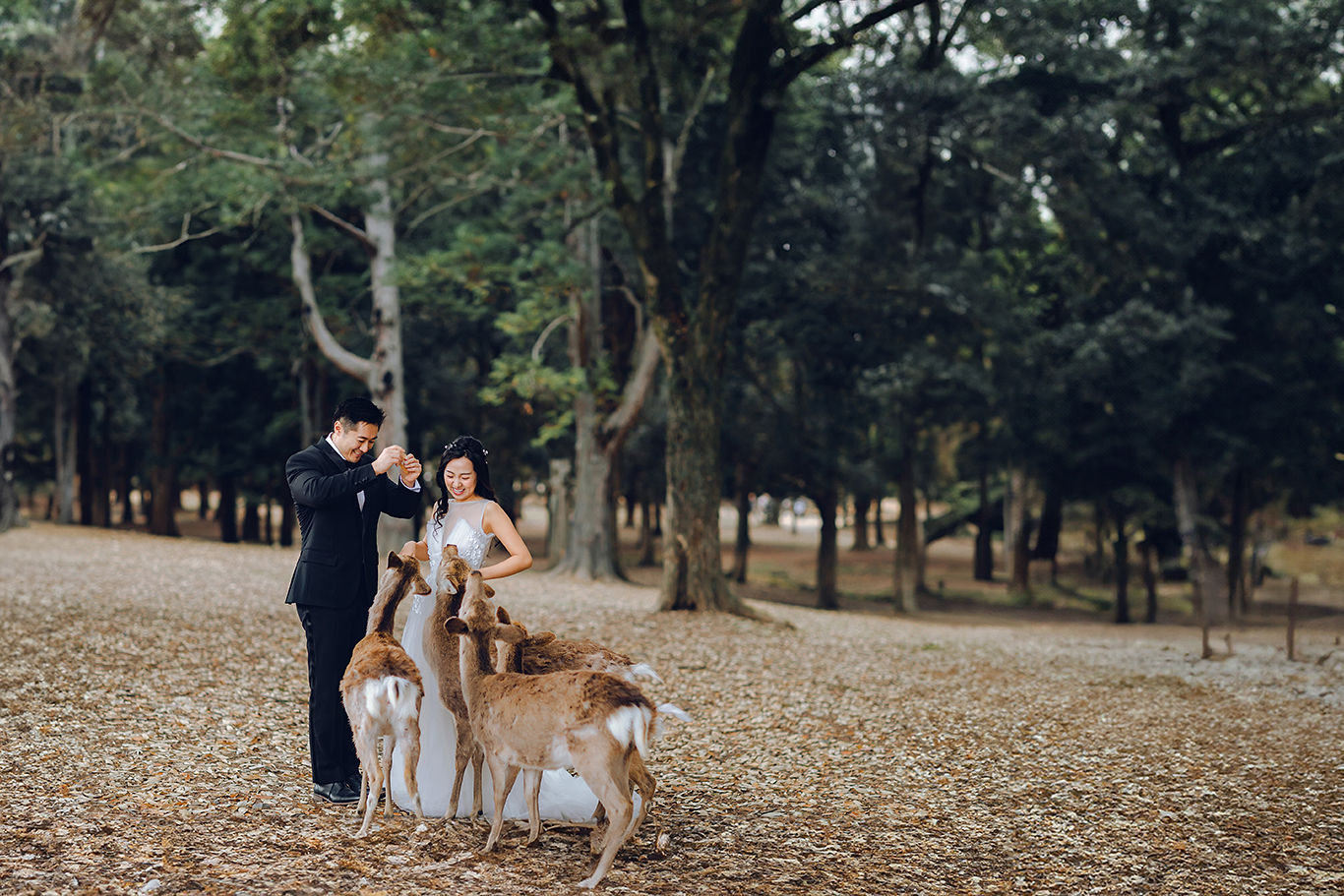 Testimonials background