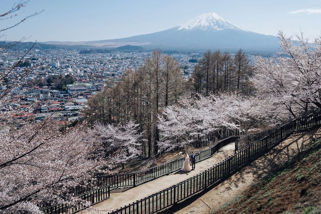 Japan Cherry Blossoms Pre-Wedding Photography 2027
