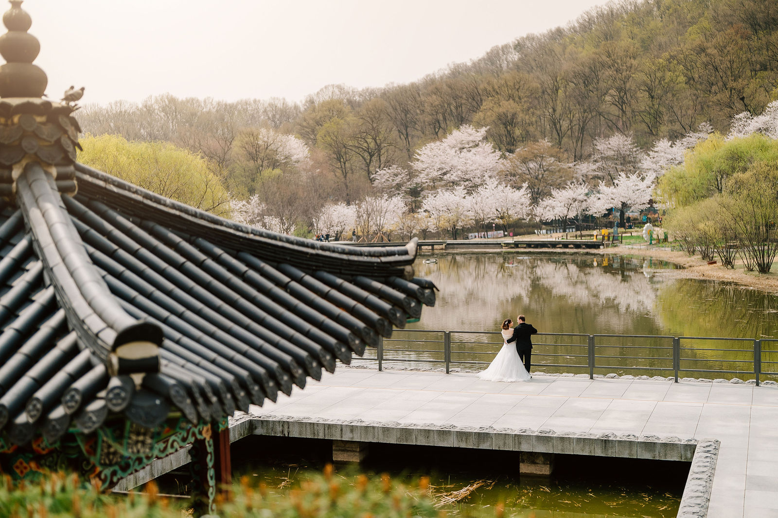 Korea Cherry Blossoms Pre-Wedding Photography 2027
