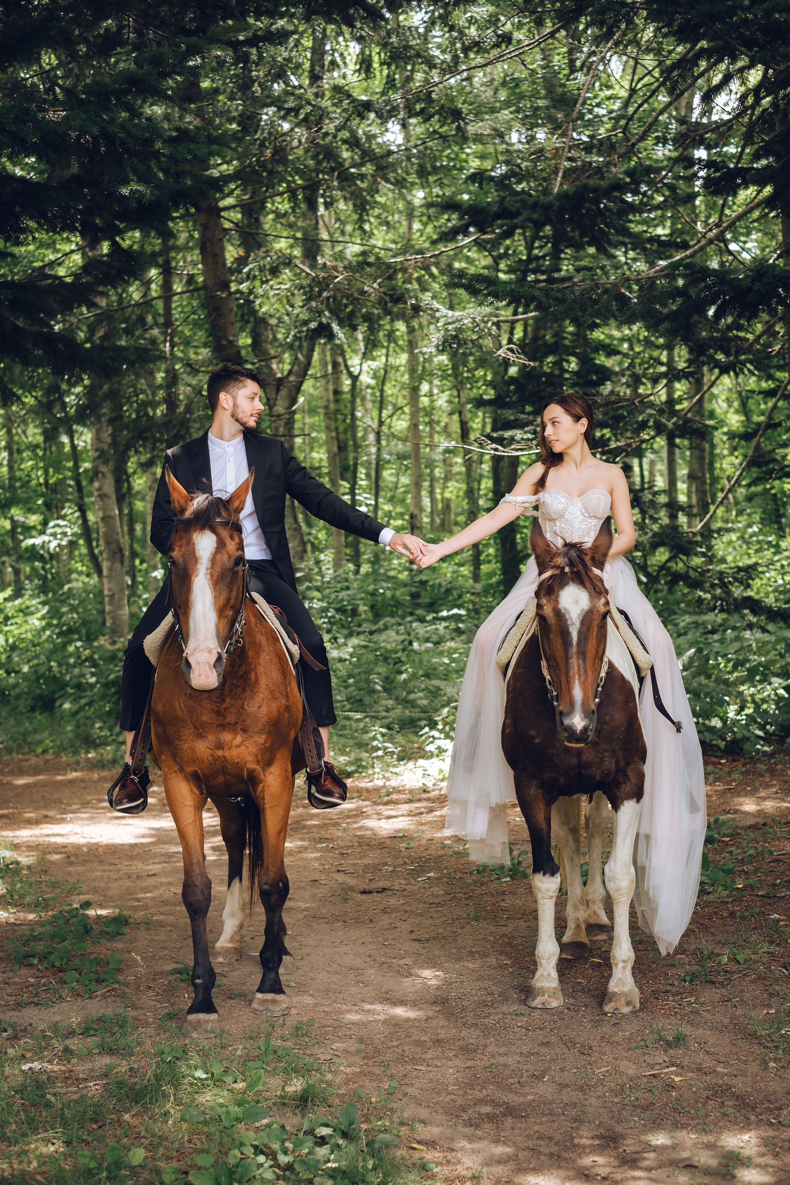 Horse riding Hokkaido