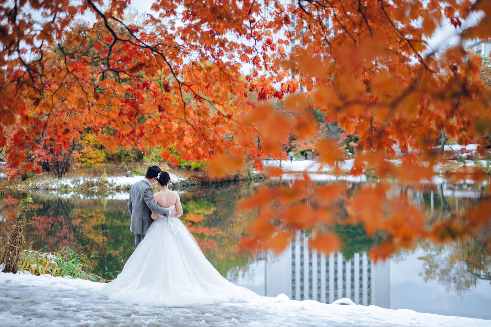 Hokkaido scenic views
