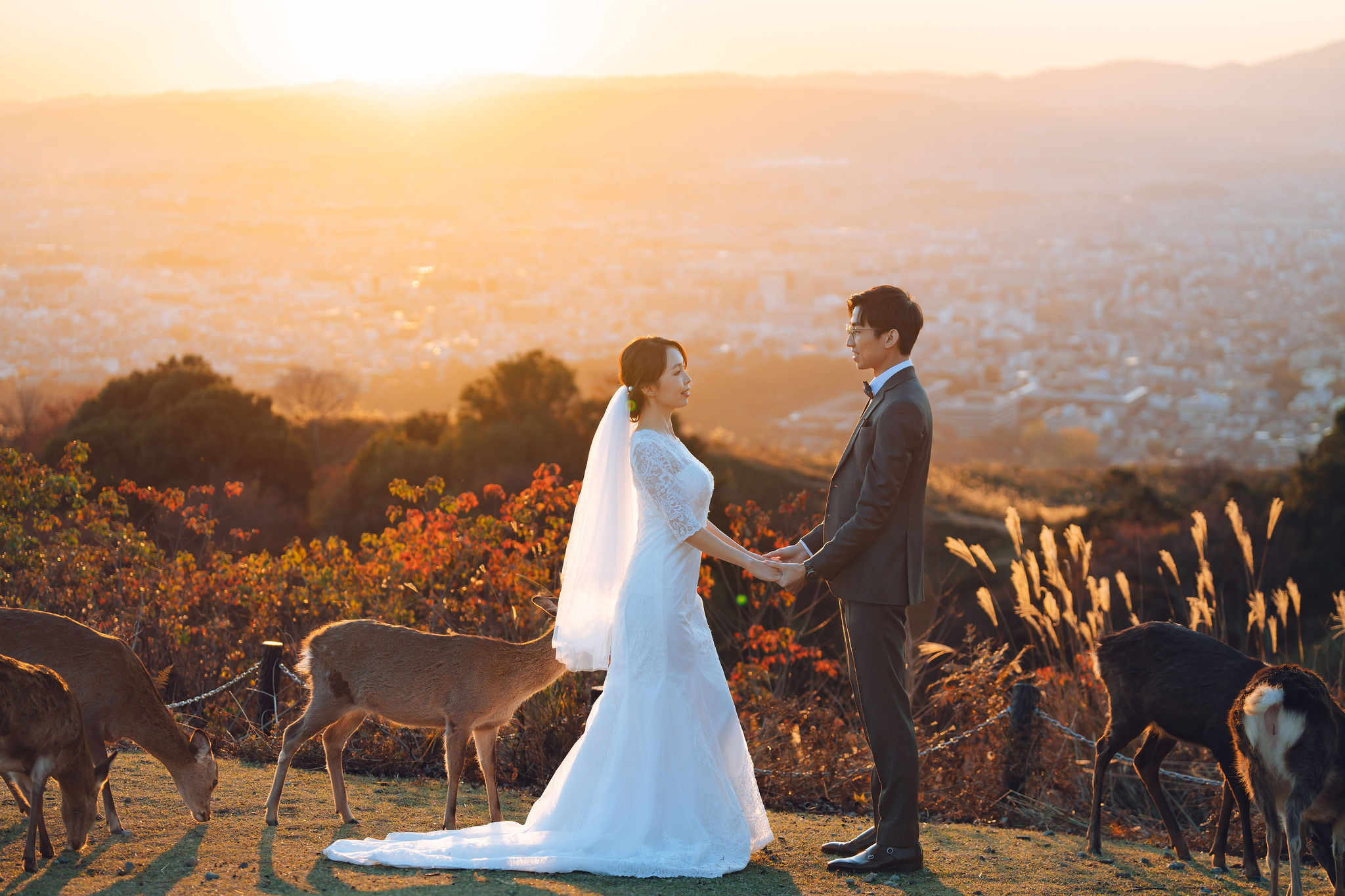 Hokkaido autumn pre-wedding