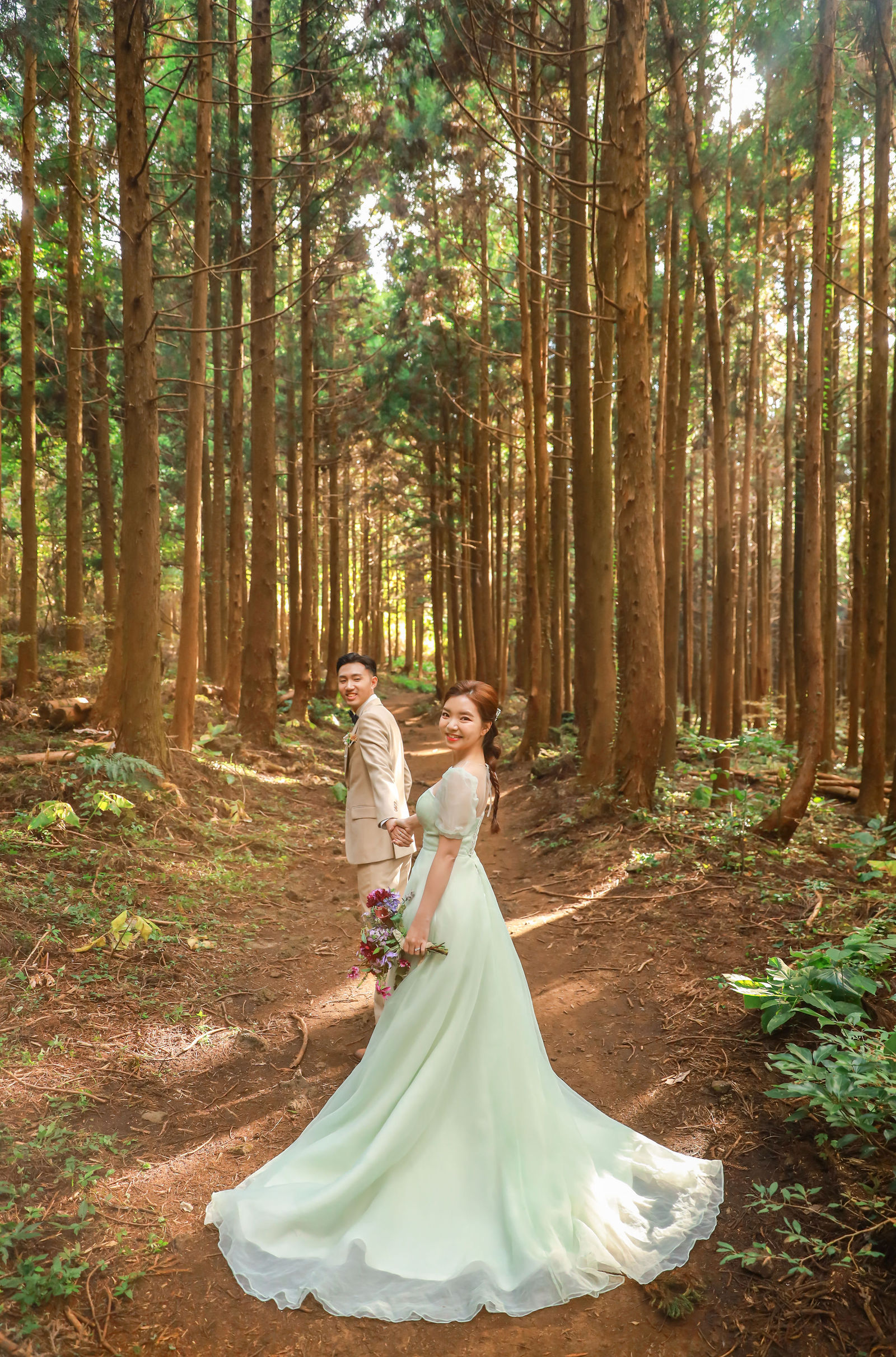 Enchanting forests Jeju