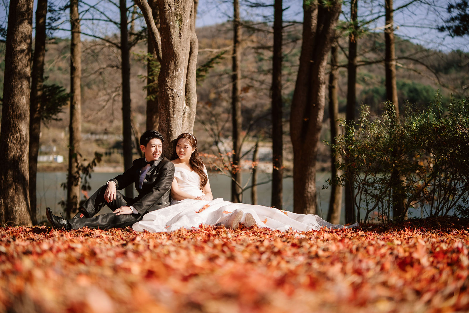 Nami Island autumn foliage