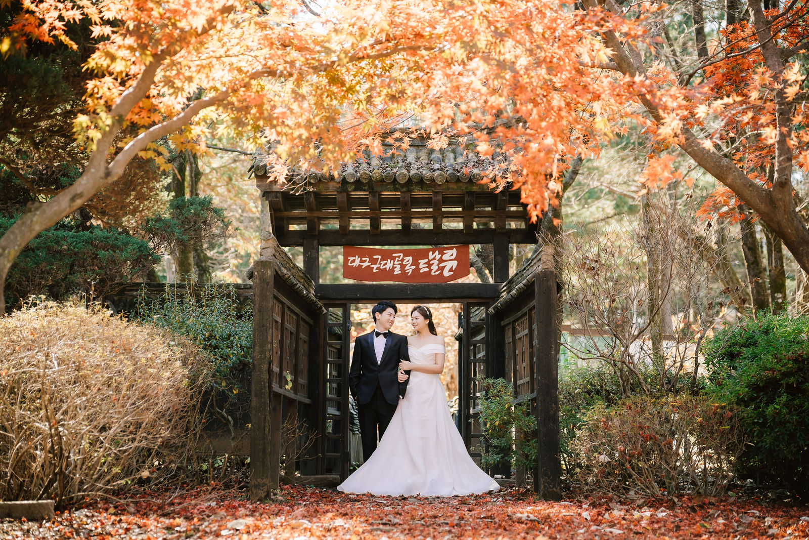 Nami Island autumn pre-wedding