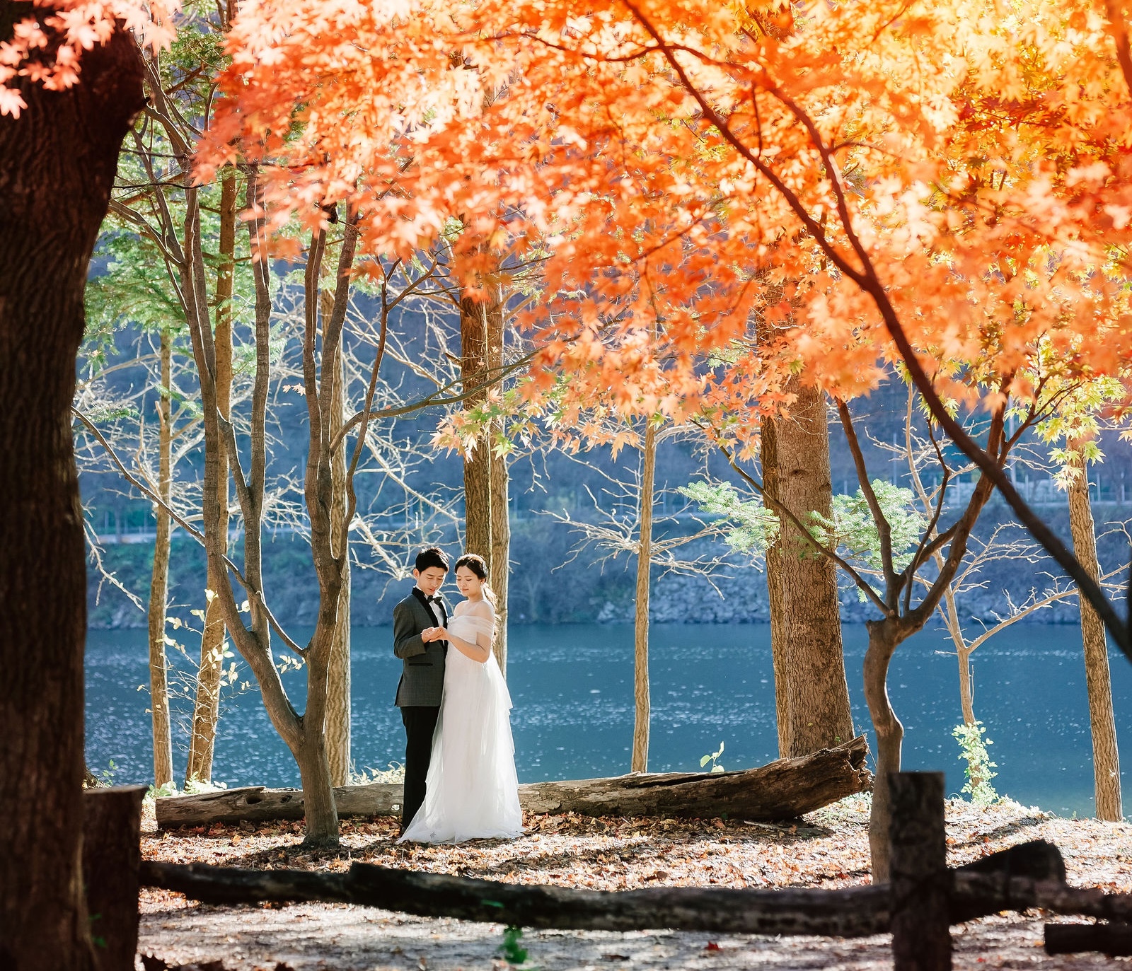 Nami Island scenic landscape