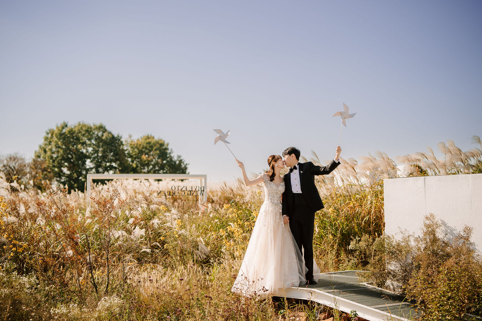 Seoul autumn pre-wedding