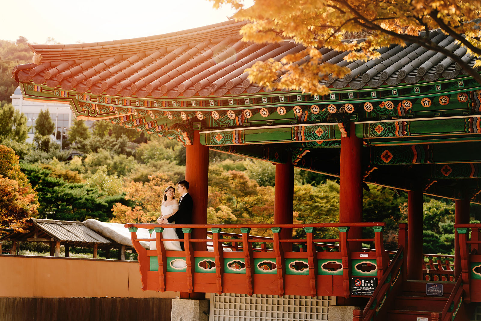 Korea autumn foliage pre-wedding photography 2026