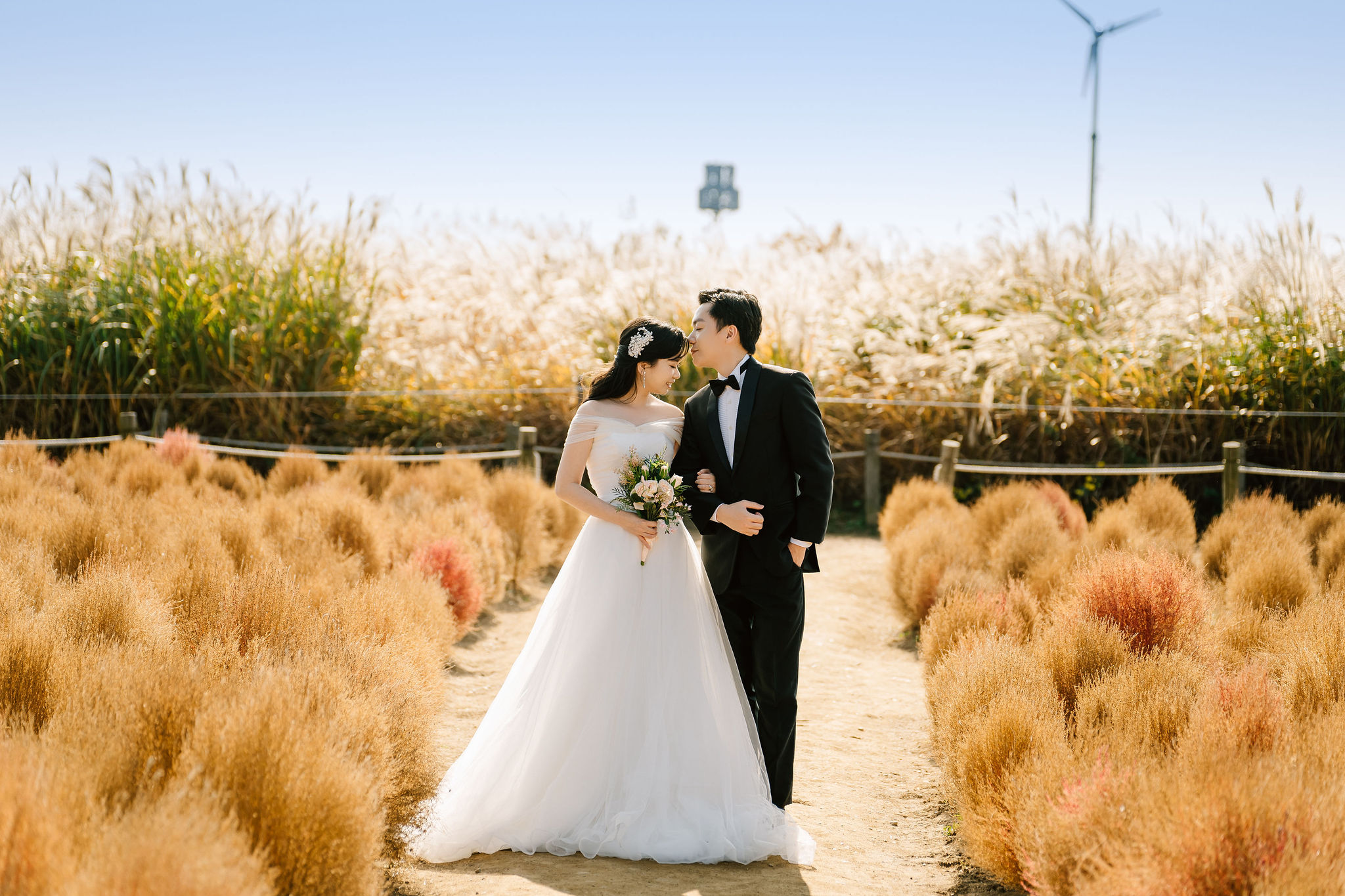 Seoul autumn pre-wedding